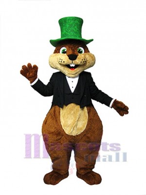 Écureuil costume de mascotte