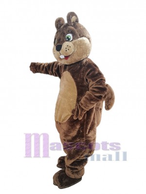 Écureuil costume de mascotte