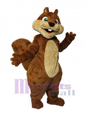 Écureuil costume de mascotte