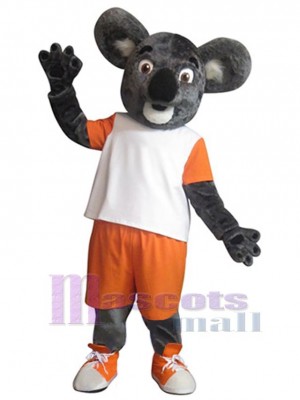 Koala costume de mascotte