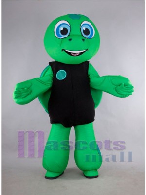 Tortue costume de mascotte