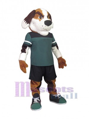 Chien costume de mascotte