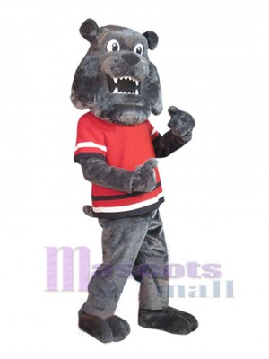 Chien costume de mascotte