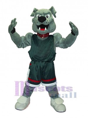 Chien costume de mascotte