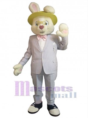 Lapin amical Mascotte Costume Animal