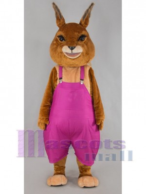 Lapin costume de mascotte