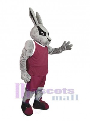 Lapin de Pâques costume de mascotte