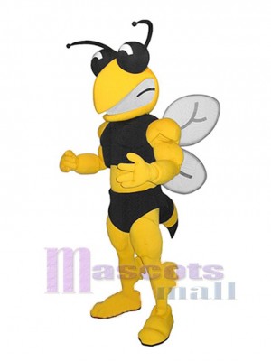 Muscle Abeille Mascotte Costume Insecte