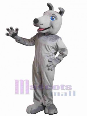 Chien costume de mascotte