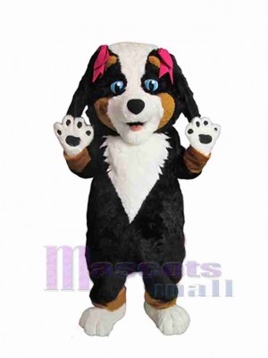 Chien costume de mascotte