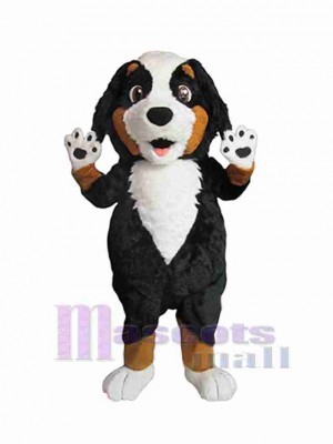Chien costume de mascotte
