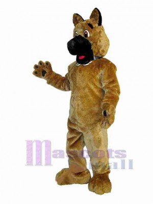 Chien costume de mascotte