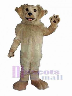 Chien costume de mascotte