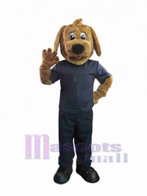 Chien costume de mascotte