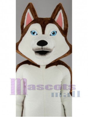 Chien costume de mascotte