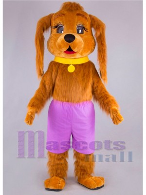 Chien costume de mascotte