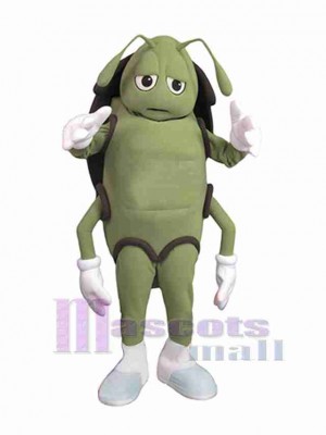 Cafard costume de mascotte