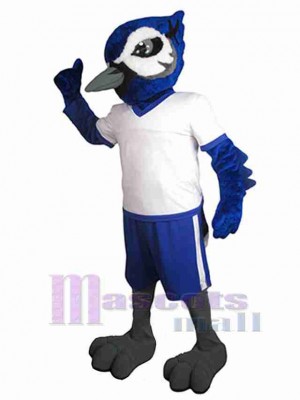 Cool geai Oiseau Mascotte Costume Animal