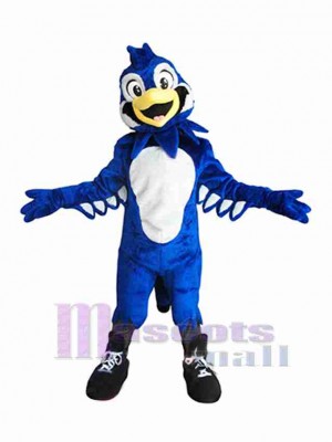 Oiseau costume de mascotte