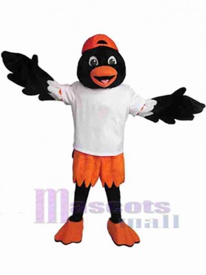 Bel oiseau noir et orange Mascotte Costume Animal