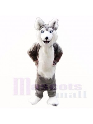 gris Rauque Chien Costumes De Mascotte Dessin animé