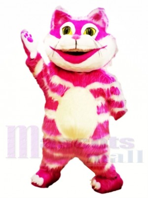 Cheshire Chat Costumes De Mascotte