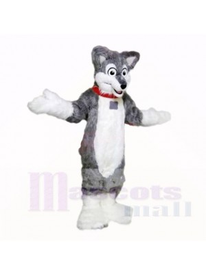 Gris Poids léger Rauque Chien Costumes De Mascotte École