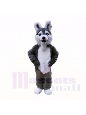 Souriant Gris Peluche Rauque Chien Costumes De Mascotte École