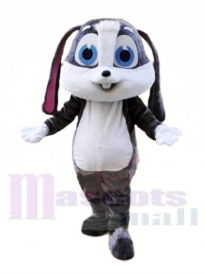 Dessin animé lapin Mascotte Les costumes Animal