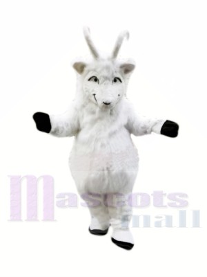 Peluche Chèvre Blanche Costumes De Mascotte