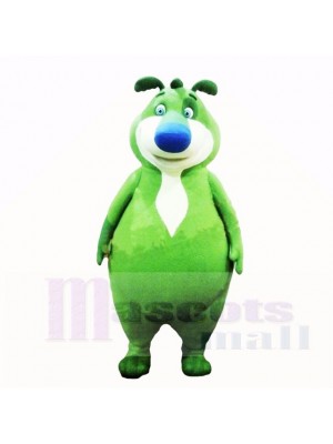 vert Ours Costumes De Mascotte Dessin animé