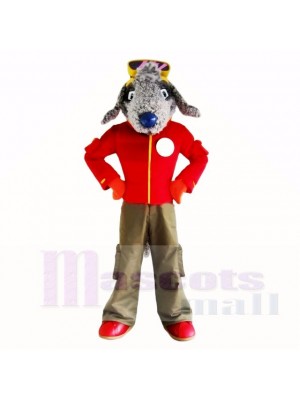 Gris Bedlington Chien avec rouge Chemise Costumes De Mascotte École