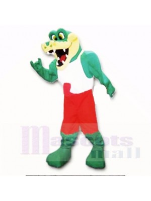 Amical Poids léger Gator avec Rouge et blanc Chemise Costumes De Mascotte École