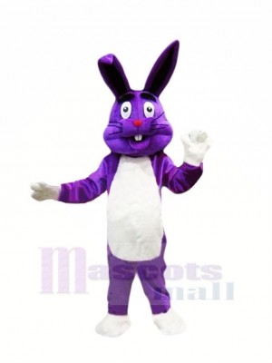 Violet Pâques lapin Mascotte Les costumes Dessin animé