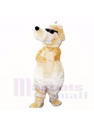 Sourire lunettes de soleil chien mascotte costumes dessin animé