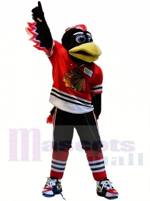 Blackhawks de Chicago Tommy Hawk Costume de mascotte