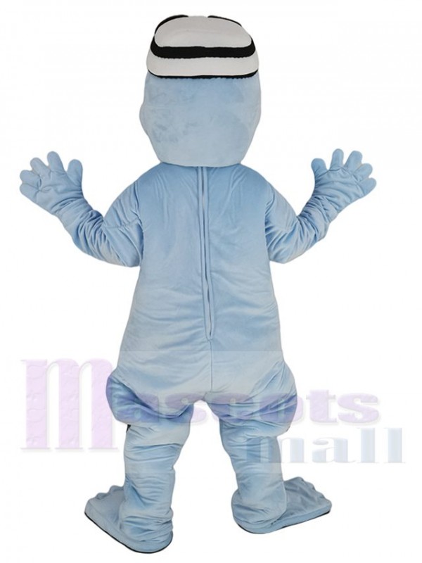 Grenouille costume de mascotte