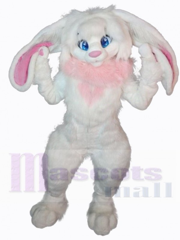Lapin de Pâques costume de mascotte