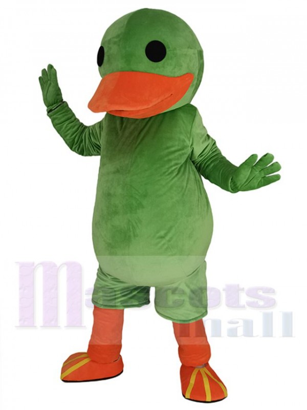 Canard costume de mascotte