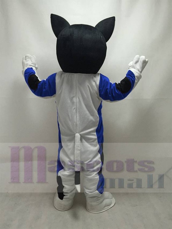 Chat Calico costume de mascotte
