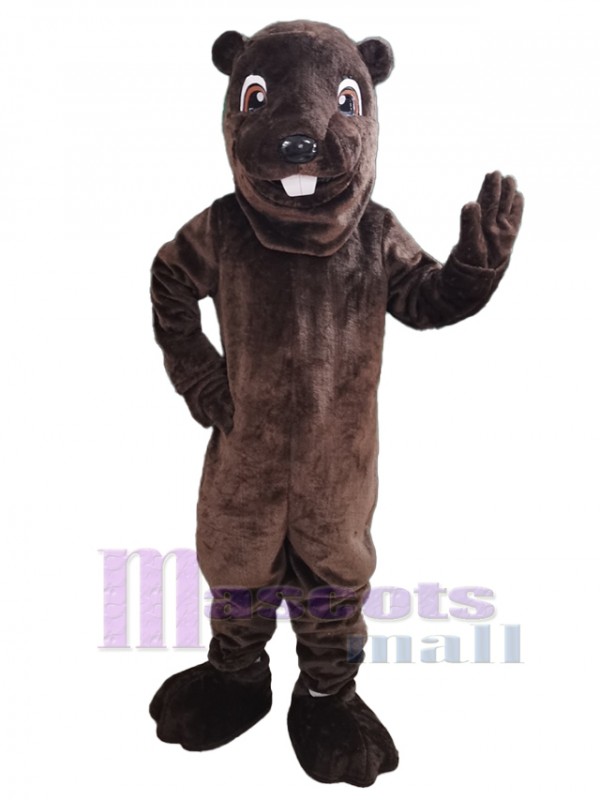 Castor costume de mascotte