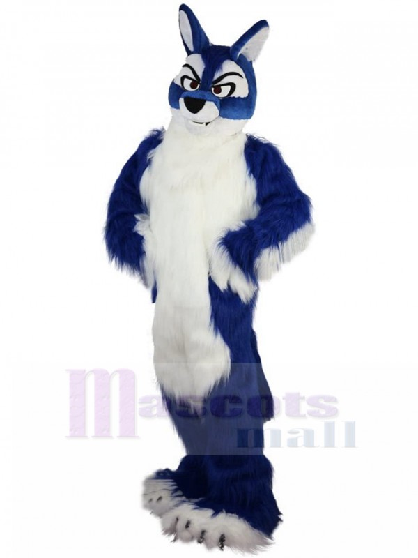 Loup costume de mascotte