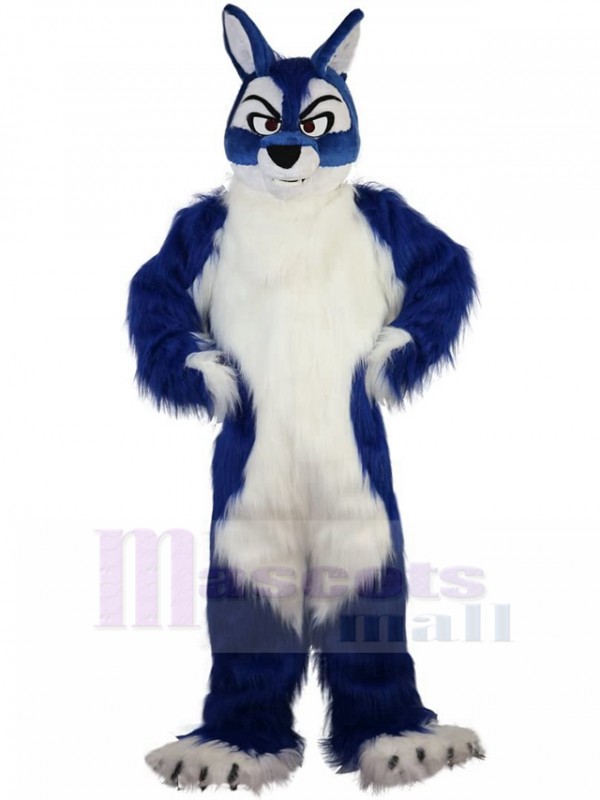 Loup costume de mascotte