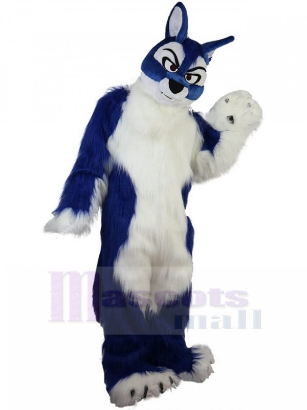 Loup costume de mascotte