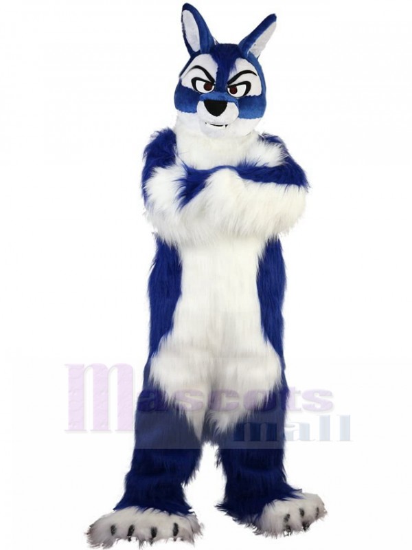 Loup costume de mascotte