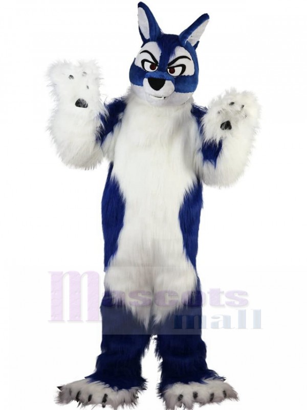 Loup costume de mascotte