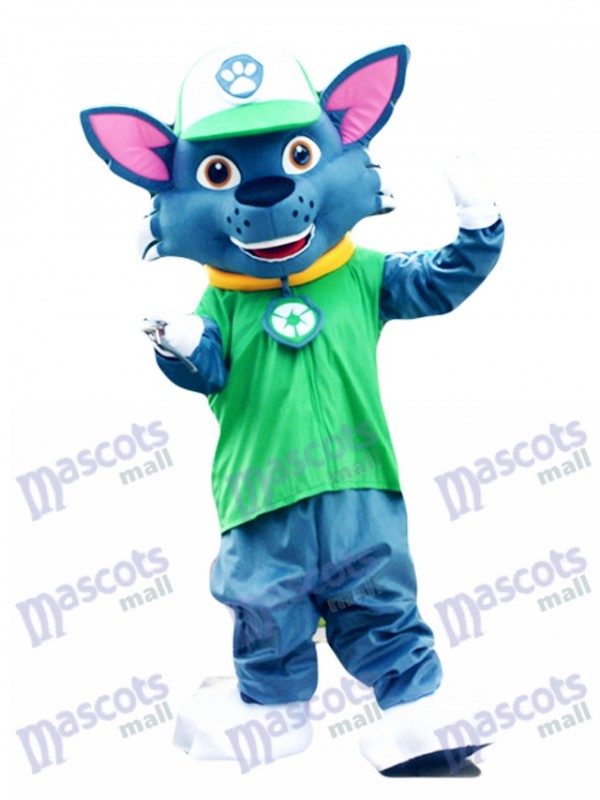 La Pat' Patrouill Paw Patrol Recyclage écologie Pup Rocky mascotte personnage Costume Eco Pup