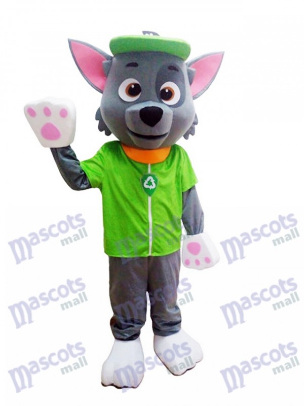 La Pat' Patrouill Paw Patrol Costume de personnage mascotte Rocky Ecology Pup