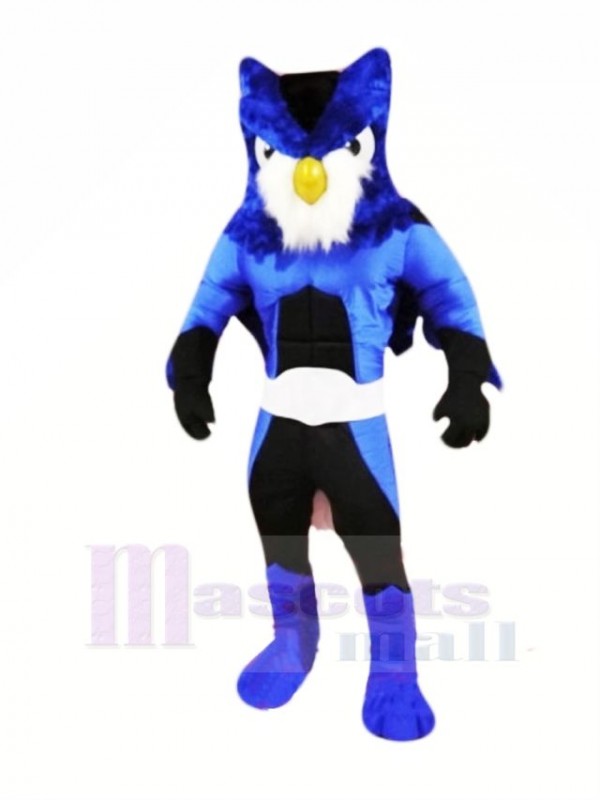héros Bleu Hibou Mascotte Les costumes Dessin animé