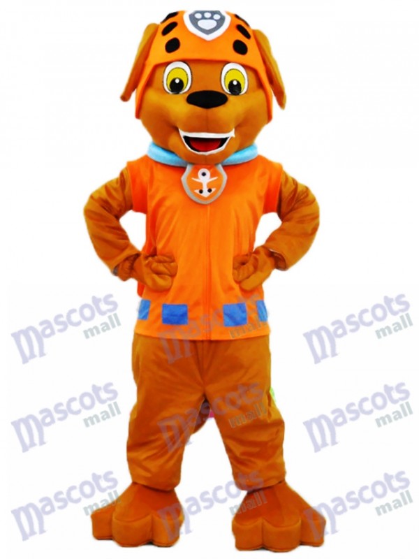 La Pat' Patrouill Sauveteur d'eau de chocolat Labrador Pup Paw Patrol Zuma Costume de mascotte de chien